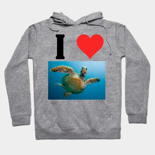 I Love Turtles Hoodie by blueversion